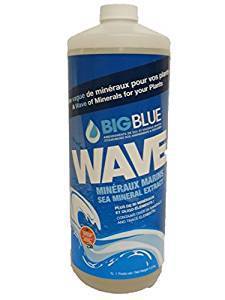 Big Blue Wave