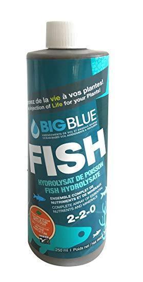 Big Blue Fish Hydrolysate